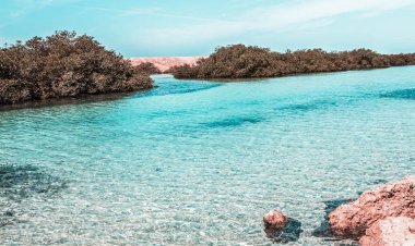 Riserva Naturale di Nabq a Sharm El Sheikh