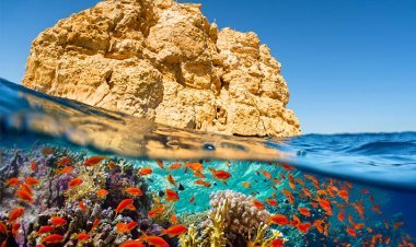 Parco Nazionale di Ras Mohamed