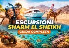 Escursioni Sharm El Sheikh: le migliori, prezzi e consigli (Guida 2026)