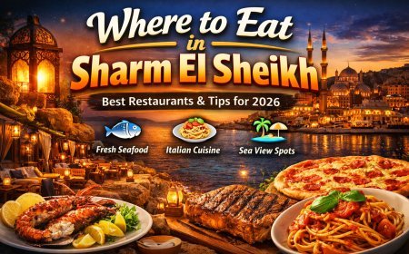 Where to eat in Sharm El Sheikh: best restaurants and prices (Guide 2026)