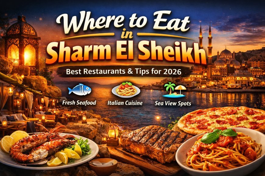 Where to eat in Sharm El Sheikh: best restaurants and prices (Guide 2026)
